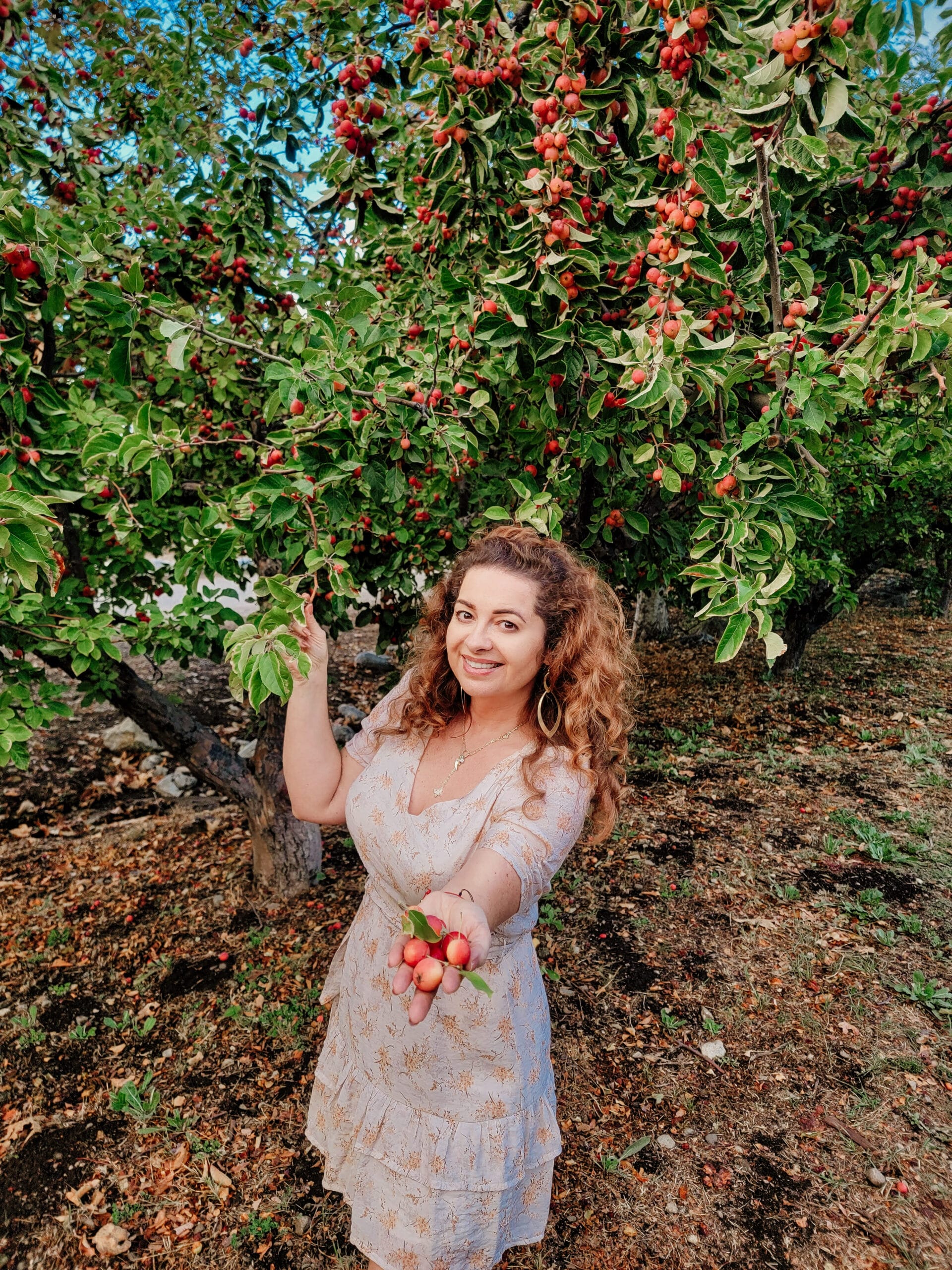 Read more about the article Central Valley – kraina jedzenia, festiwali i zabawy