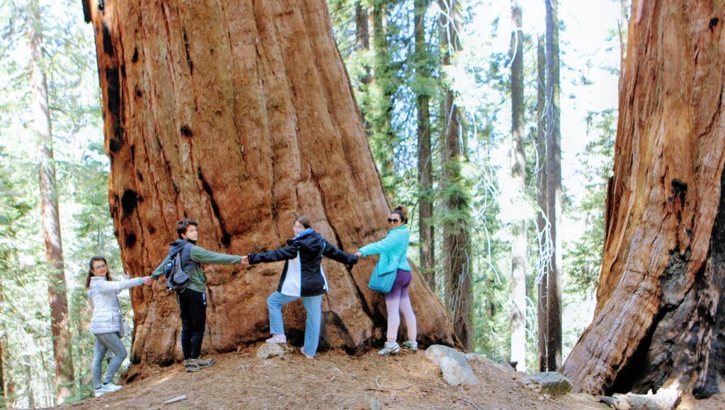 Ludzie trzymający się za ręce wokół gigantycznej sekwoi w Sequoia National Park