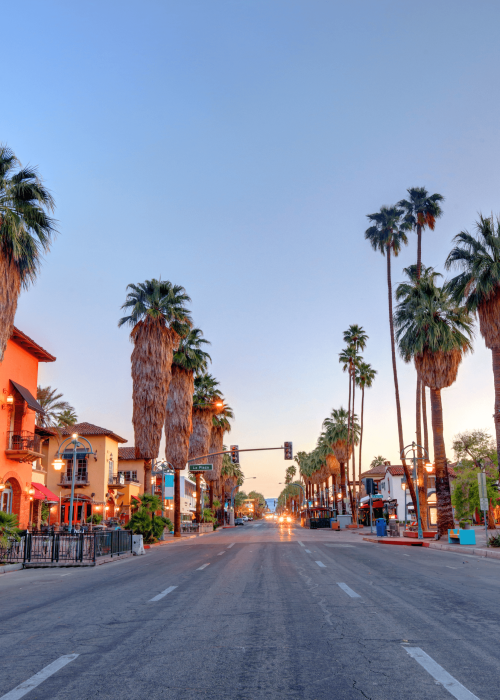 Palmy w centrum Palm Springs przy zachodzie słońca